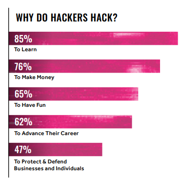 *Source: Hacker One Report 2021* Motivasi untuk membajak website